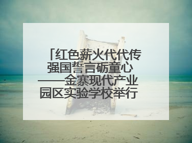 红色薪火代代传 强国誓言砺童心——金寨现代产业园区实验学校举行分批入队仪式