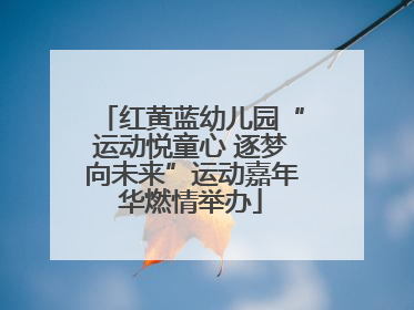 红黄蓝幼儿园“运动悦童心 逐梦向未来”运动嘉年华燃情举办