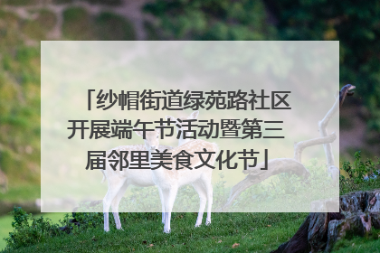 纱帽街道绿苑路社区开展端午节活动暨第三届邻里美食文化节