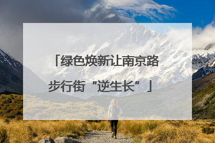 绿色焕新让南京路步行街“逆生长”