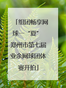 组团畅享网球一“夏” 郑州市第七届业余网球团体赛开拍