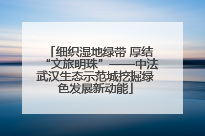 细织湿地绿带 厚结“文旅明珠”——中法武汉生态示范城挖掘绿色发展新动能