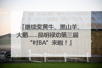 继续奖黄牛、黑山羊、大鹅……昆明禄劝第三届“村BA”来啦！