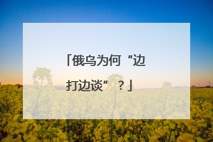 俄乌为何“边打边谈”？
