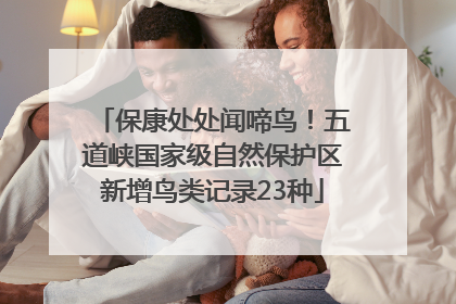 保康处处闻啼鸟！五道峡国家级自然保护区新增鸟类记录23种