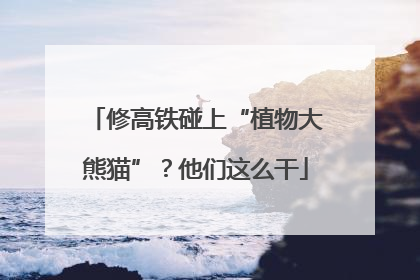 修高铁碰上“植物大熊猫”？他们这么干