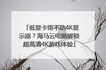 低显卡带不动4K显示器？海马云电脑解锁超高清4K游戏体验