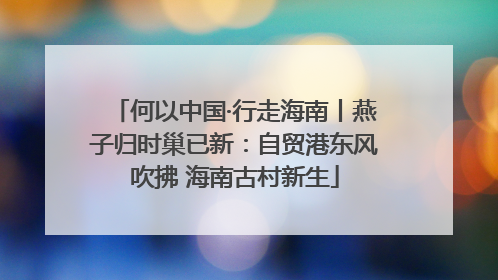 何以中国·行走海南丨燕子归时巢已新：自贸港东风吹拂 海南古村新生
