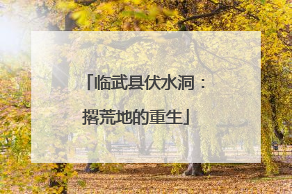 临武县伏水洞：撂荒地的重生