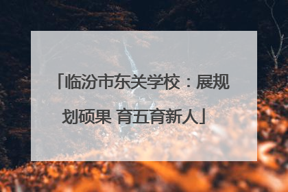 临汾市东关学校：展规划硕果 育五育新人