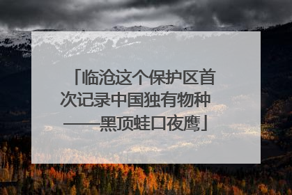 临沧这个保护区首次记录中国独有物种——黑顶蛙口夜鹰