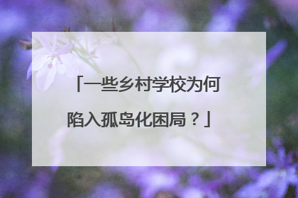 一些乡村学校为何陷入孤岛化困局？