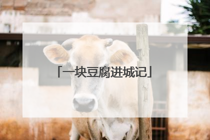 一块豆腐进城记