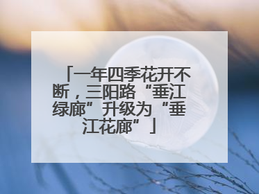 一年四季花开不断，三阳路“垂江绿廊”升级为“垂江花廊”