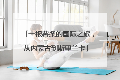 一根薯条的国际之旅，从内蒙古到斯里兰卡
