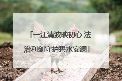一江清波映初心 法治利剑守护碧水安澜