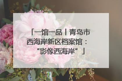 一馆一品丨青岛市西海岸新区档案馆：“影像西海岸”