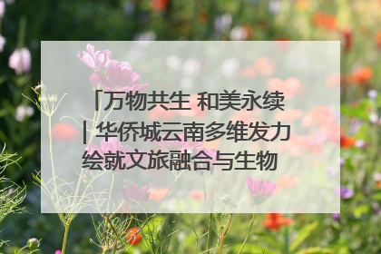 万物共生 和美永续｜华侨城云南多维发力 绘就文旅融合与生物多样性保护新图景