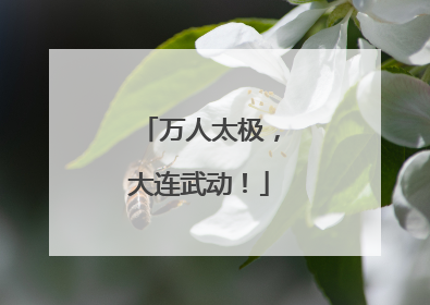 万人太极，大连武动！