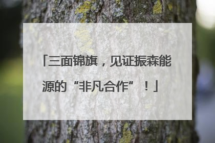 三面锦旗，见证振森能源的“非凡合作”！