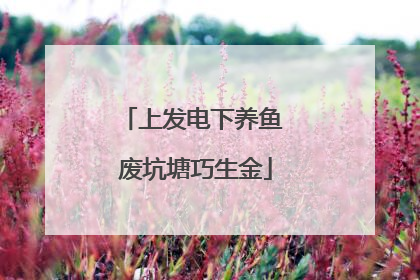 上发电下养鱼 废坑塘巧生金