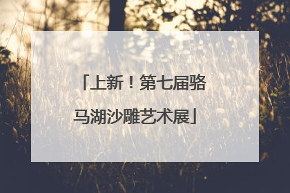 上新！第七届骆马湖沙雕艺术展