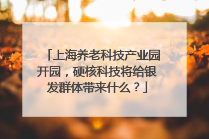 上海养老科技产业园开园，硬核科技将给银发群体带来什么？