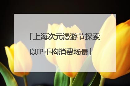 上海次元漫游节探索以IP重构消费场景