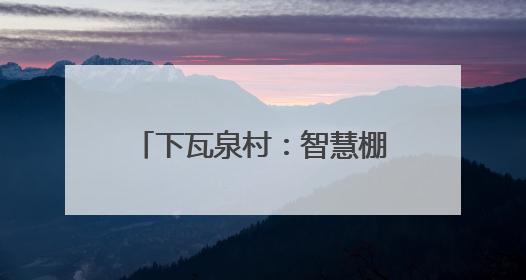 下瓦泉村：智慧棚种出“共富菜”