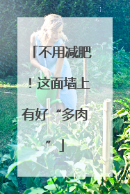 不用减肥！这面墙上有好“多肉”