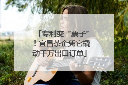 专利变“票子”！宜昌茶企凭它撬动千万出口订单
