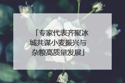 专家代表齐聚冰城共谋小麦振兴与杂粮高质量发展