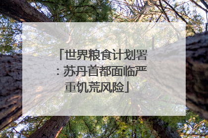 世界粮食计划署：苏丹首都面临严重饥荒风险