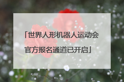 世界人形机器人运动会官方报名通道已开启