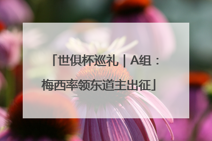 世俱杯巡礼｜A组：梅西率领东道主出征