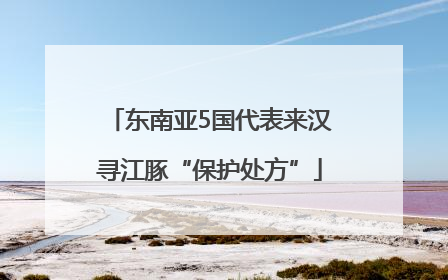 东南亚5国代表来汉寻江豚“保护处方”