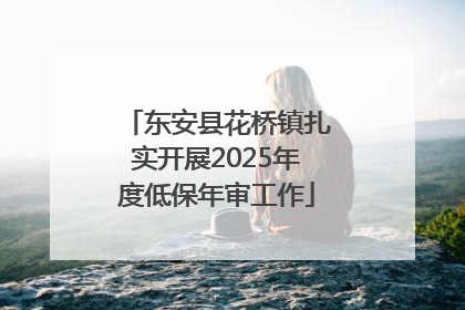 东安县花桥镇扎实开展2025年度低保年审工作