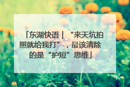 东湖快语｜“来天坑拍照就给我打”，最该清除的是“护短”思维