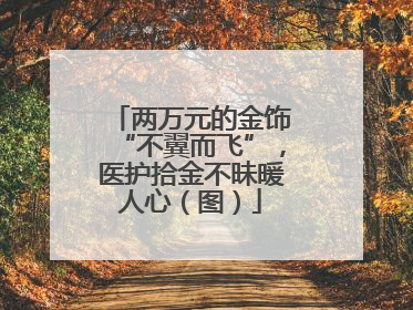 两万元的金饰“不翼而飞”，医护拾金不昧暖人心（图）