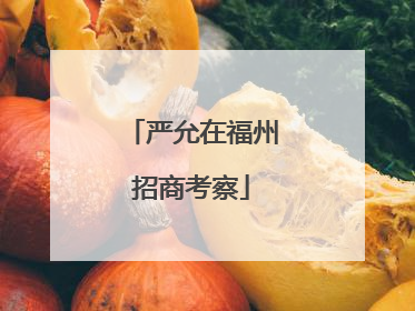 严允在福州招商考察