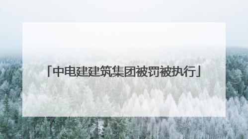 中电建建筑集团被罚被执行