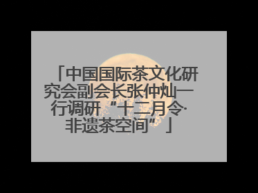 中国国际茶文化研究会副会长张仲灿一行调研“十二月令·非遗茶空间”