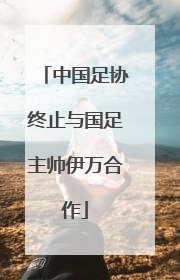 中国足协终止与国足主帅伊万合作