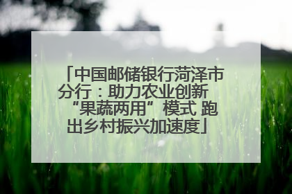 中国邮储银行菏泽市分行：助力农业创新 “果蔬两用”模式 跑出乡村振兴加速度