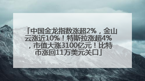 中国金龙指数涨超2%，金山云涨近10%！特斯拉涨超4%，市值大涨3100亿元！比特币涨回11万美元关口