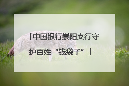 中国银行崇阳支行守护百姓“钱袋子”