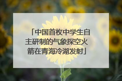 中国首枚中学生自主研制的气象探空火箭在青海冷湖发射