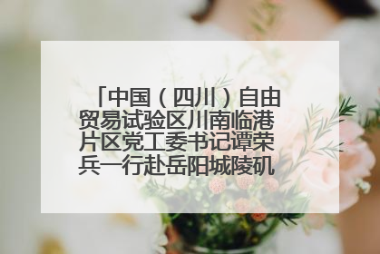中国（四川）自由贸易试验区川南临港片区党工委书记谭荣兵一行赴岳阳城陵矶综保区考察