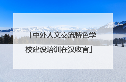 中外人文交流特色学校建设培训在汉收官