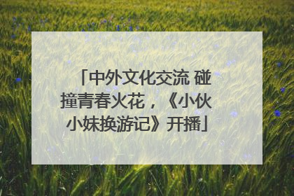 中外文化交流 碰撞青春火花，《小伙小妹换游记》开播